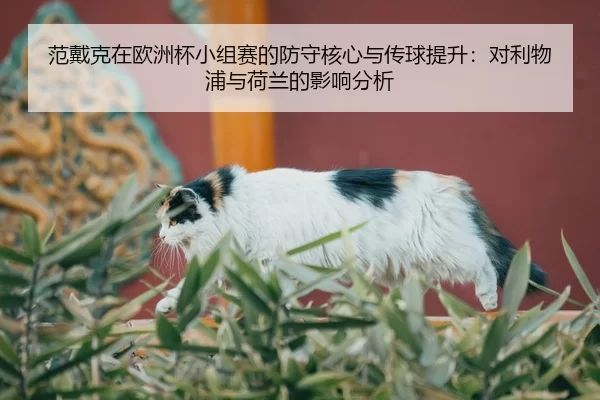 范戴克在欧洲杯小组赛的防守核心与传球提升：对利物浦与荷兰的影响分析