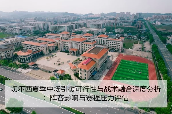 切尔西夏季中场引援可行性与战术融合深度分析：阵容影响与赛程压力评估